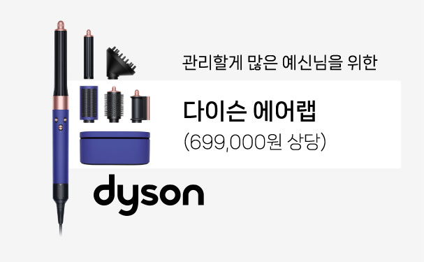 다이슨